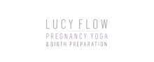 Logo LucyFlow